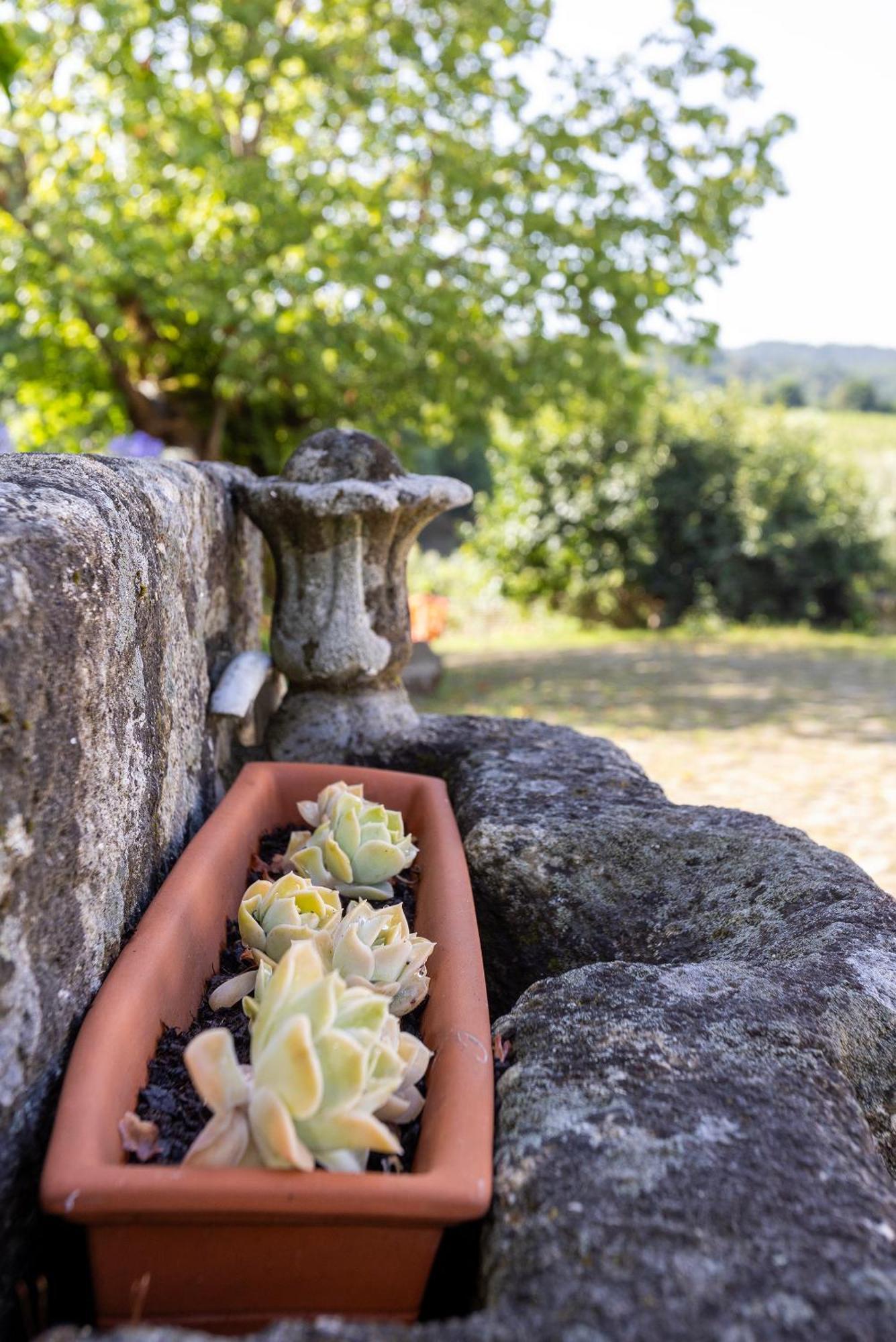 Quinta Da Comenda São Pedro do Sul Eksteriør bilde