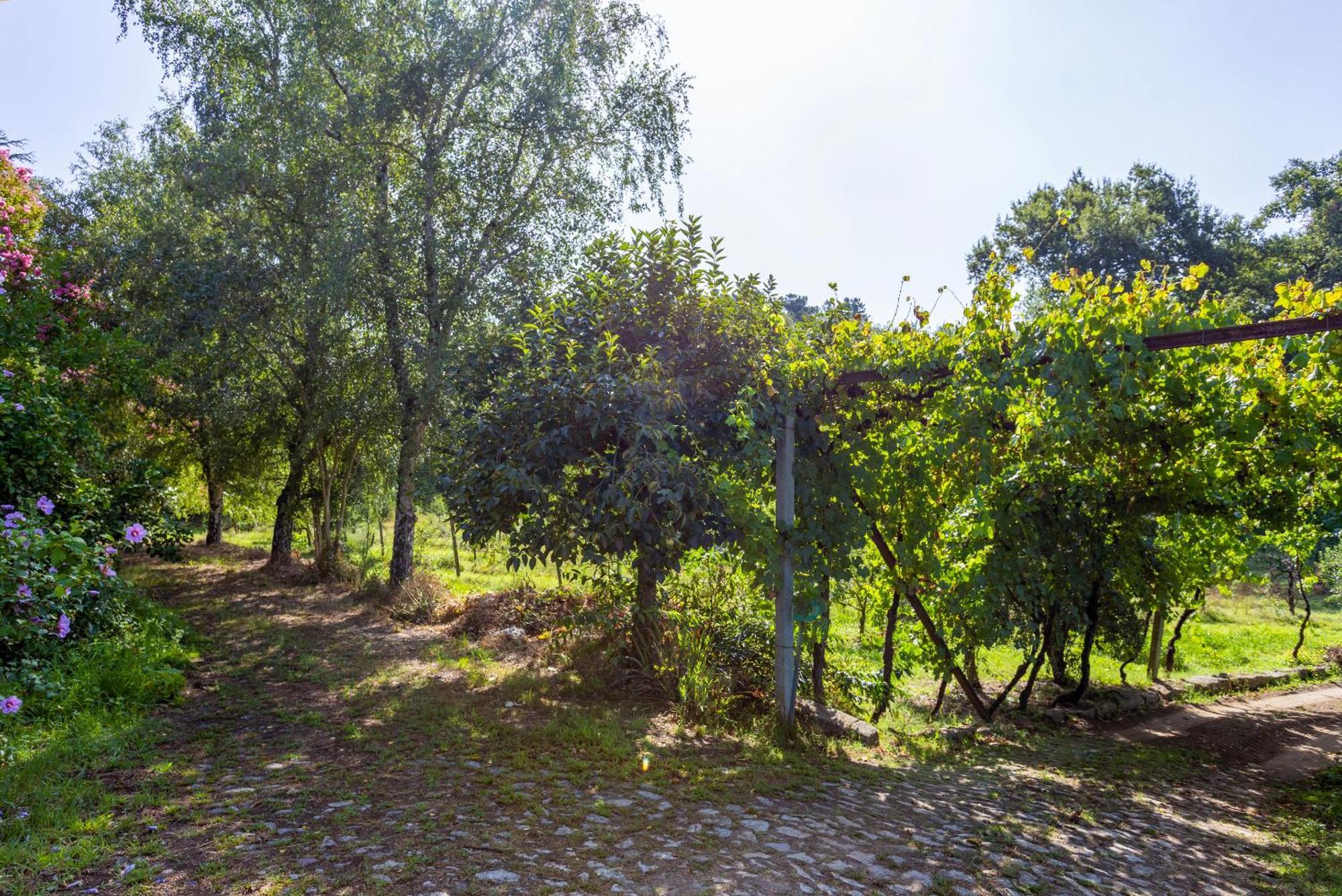 Quinta Da Comenda São Pedro do Sul Eksteriør bilde