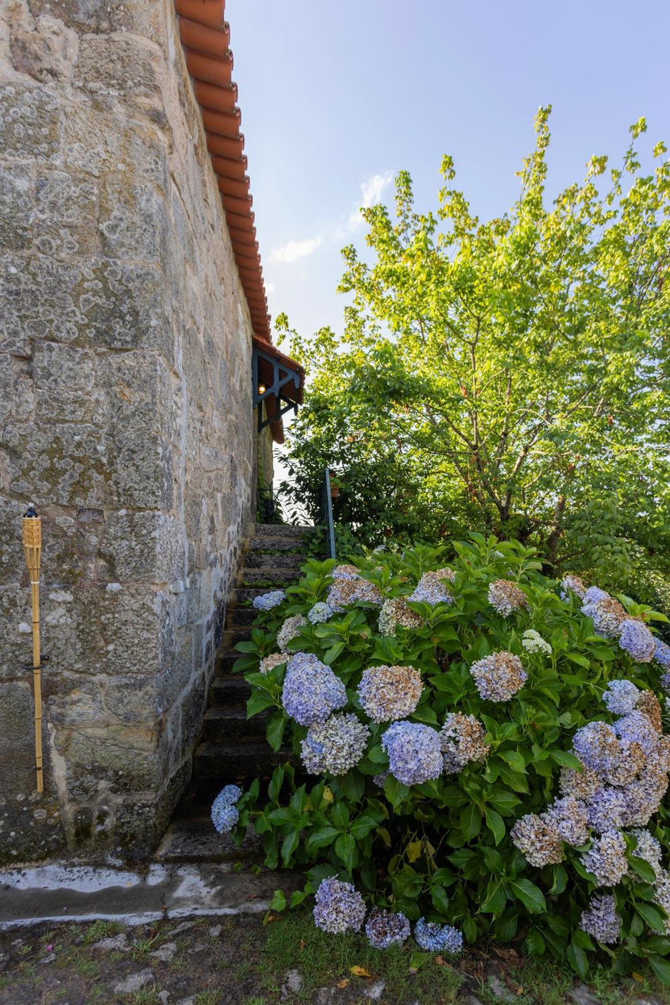 Quinta Da Comenda São Pedro do Sul Eksteriør bilde